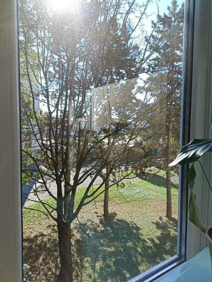 Apartman Close2park ***